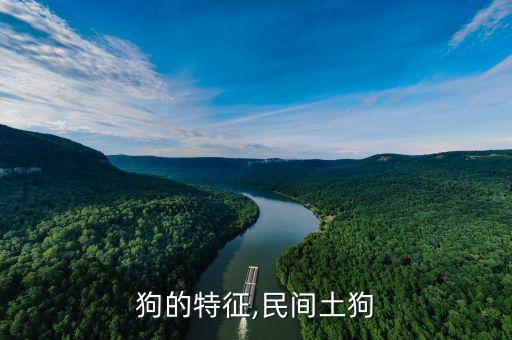 狗為什么怕寧夏狗王,為什么狗害怕夏天的至日...